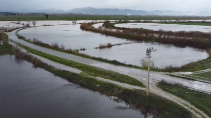 Büyük Menderes nehrindeki taşkın karayolunu kapattı