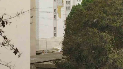 Çanakkale’de fırtına ağaçları devirdi