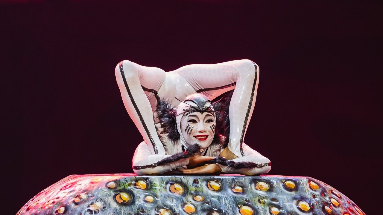 Cirque du Soleil’in böceklerin dünyasını anlatan dev yapımı İstanbul’da sahne alacak