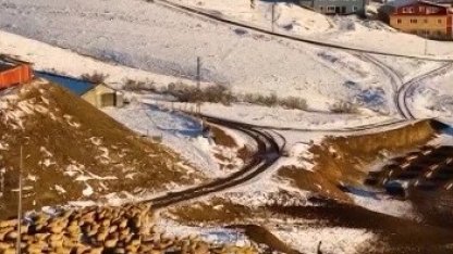 Dağın huzuru, emeğin sesi: İliç’te küçükbaş hayvancılık