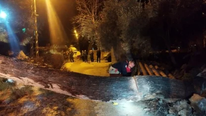 Defne’de devrilen ağaç yolu kapattı