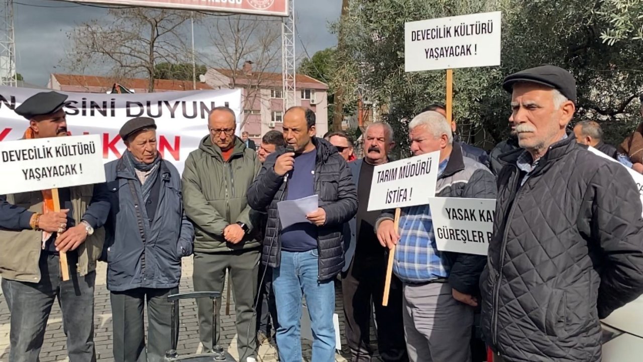 DEGÜF üyeleri deve güreşlerinin yapılmamasını protesto etti