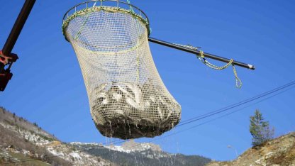 Denizi olmayan Gümüşhane’de alabalık üretimi 2 bin tona ulaştı