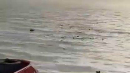 Denizi şehir çöplüğüne çevirdiler