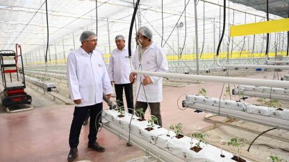 Denizli’nin 2025 bitkisel üretim tablosu yüz güldürdü