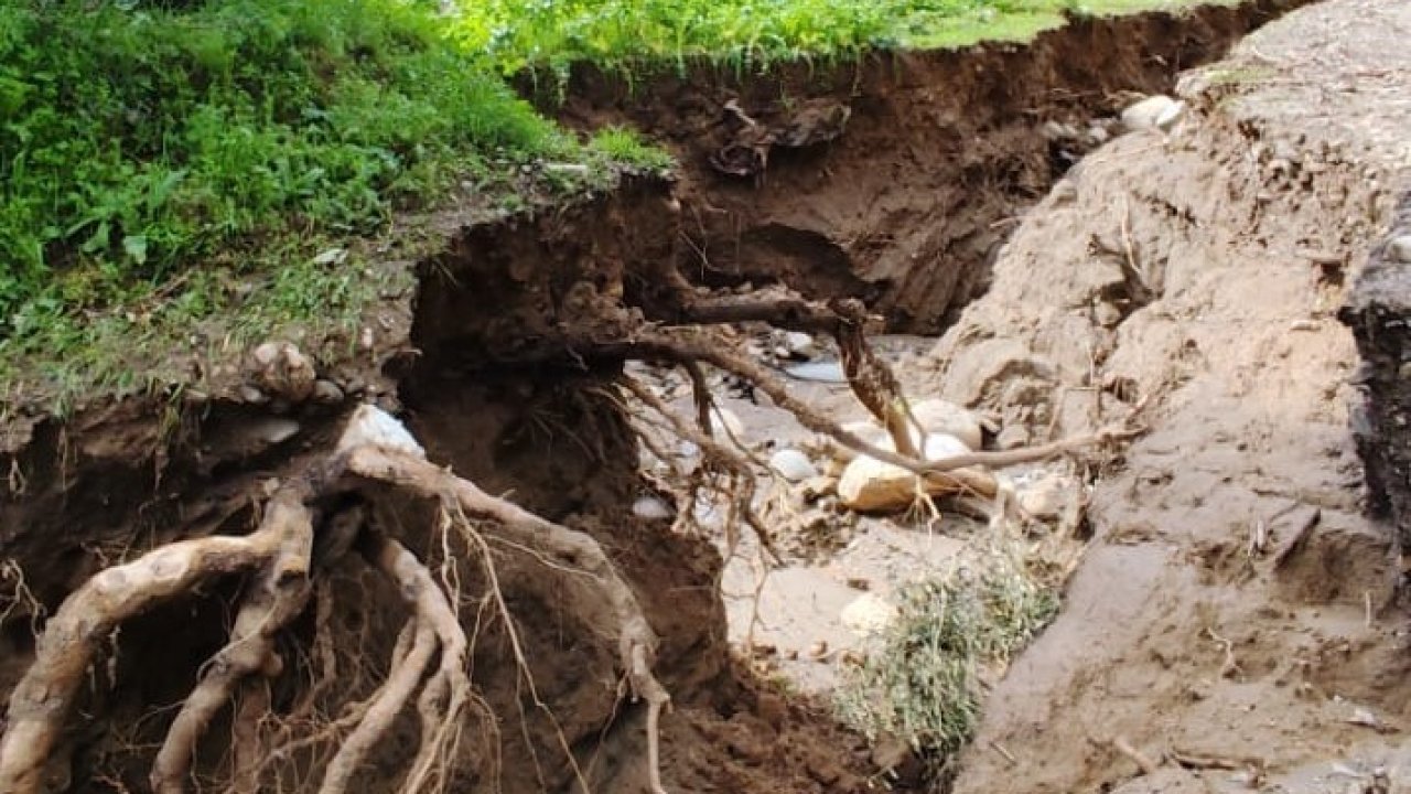 Dere suları yön değiştirdi, zeytinlikte ikinci yatak oluştu
