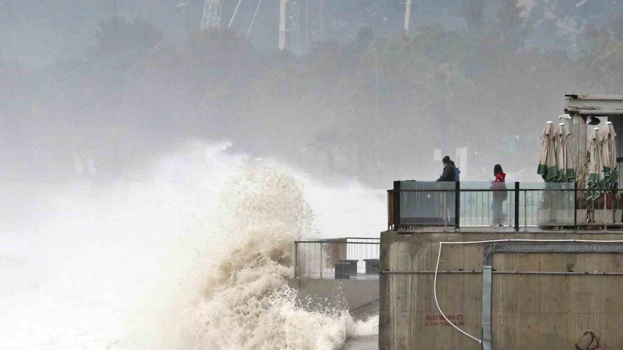 Dev dalgalar sahili dövdü: Martılar balık, define avcıları kıymetli eşya aradı