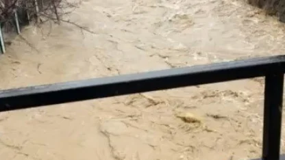 Develi’de aşırı yağış sele neden oldu, bazı ev ve ahırları su bastı