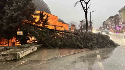 Edirne’de fırtına ağaçları devirdi