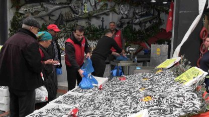 Edirne’de hamsinin kilosu 50 liraya düştü, tezgahlar şenlendi