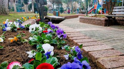 Efeler Belediyesi’nden çiçek düzenlemesi