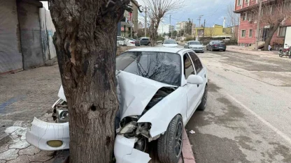 Ehliyetsiz sürücünün kontrolünü kaybettiği otomobil ağaca çarptı... O anlar kamerada