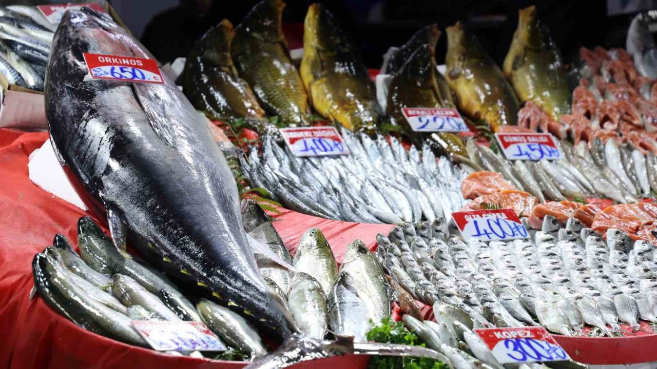 Elazığ Kapalı Çarşı’da 85 kiloluk orkinos tezgaha indi