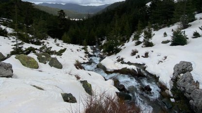 Eriyen kar ve yağmur suları su kaynaklarını coşturdu