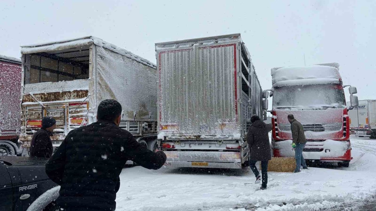 Erzincan’da yolda kalan 200 büyükbaş hayvana yem takviyesi