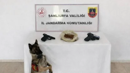 Eyyübiye’de uyuşturucu operasyonu: 1 tutuklama