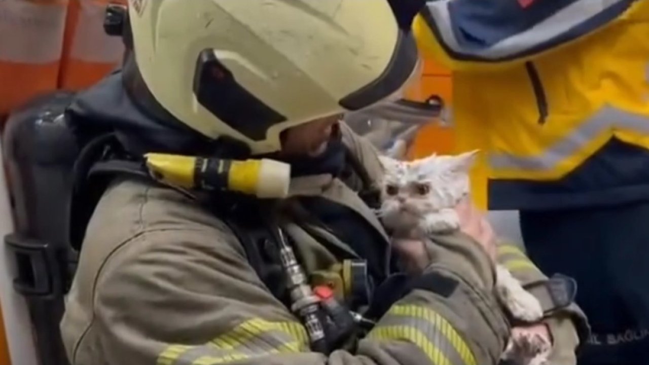 Fatih’te metruk binada çıkan yangın yanındaki ahşap binaya sıçradı: Bir kedi kurtarıldı