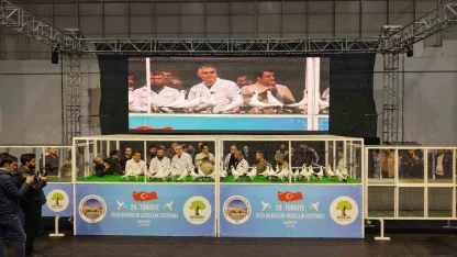 Gaziantep’te ’29. Türkiye Filo Güvercin Güzellik Festivali’ düzenlendi