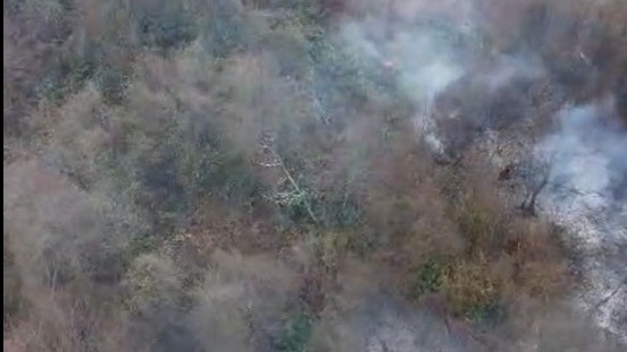 Görele’de örtü yangını korkuttu