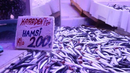 Hamsi tezgahlardaki tahtına yeniden oturdu