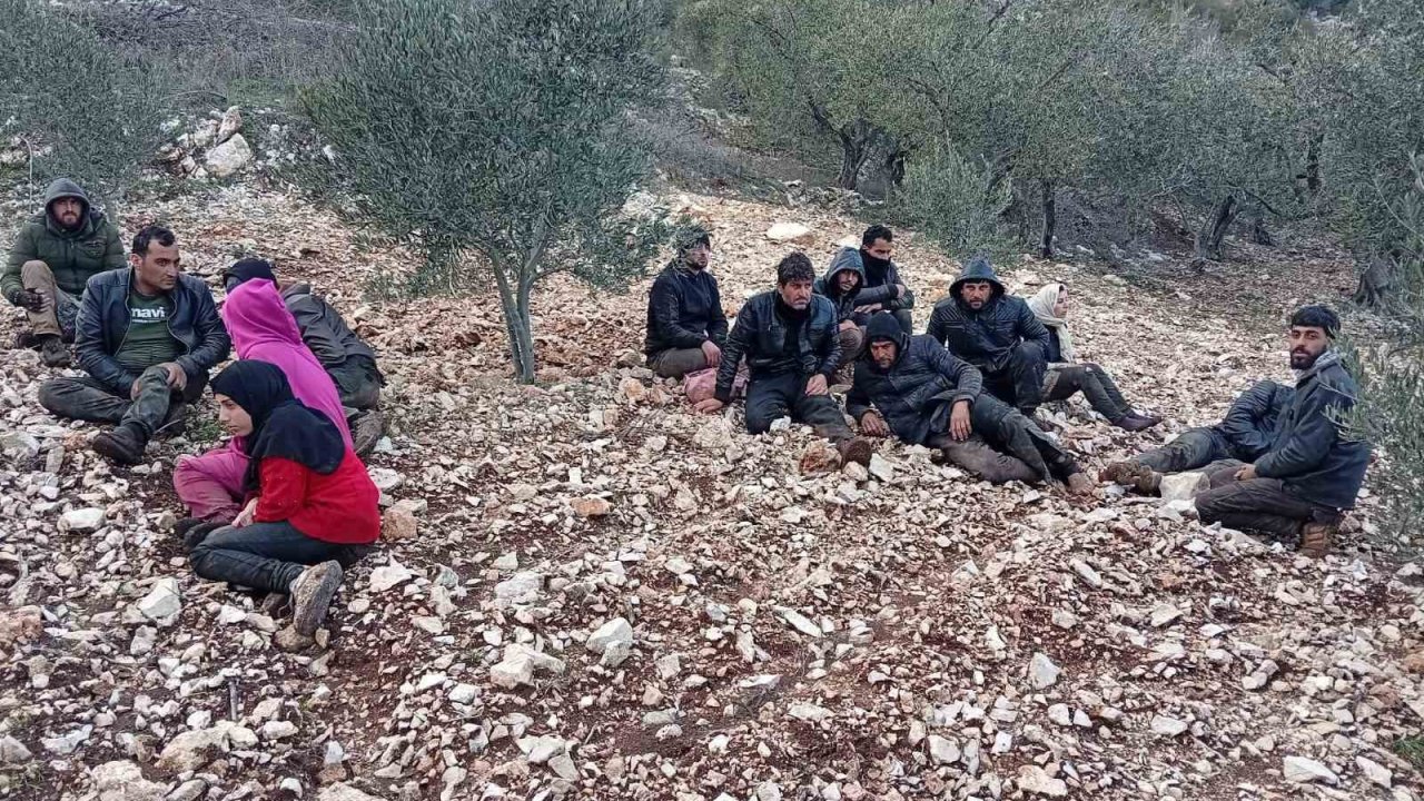 Hatay’da zeytinlik alanda 30 düzensiz göçmen yakalandı