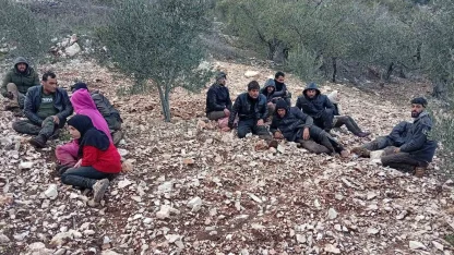 Hatay’da zeytinlik alanda 30 düzensiz göçmen yakalandı