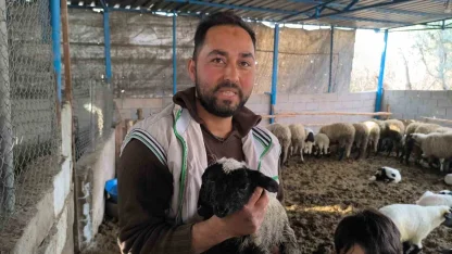 İlgi odağı olan çift başlı ve 4 gözlü kuzu 1 gün yaşayabildi