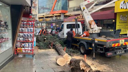 Isparta’da fırtına ağacı kökünden söktü