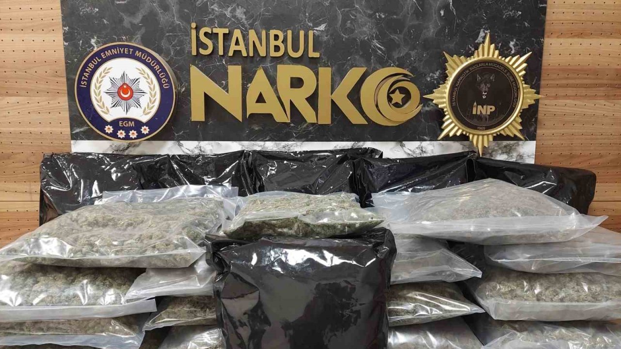 İstanbul’da uyuşturucu operasyonu: 22 kilo 450 gram skunk ele geçirildi