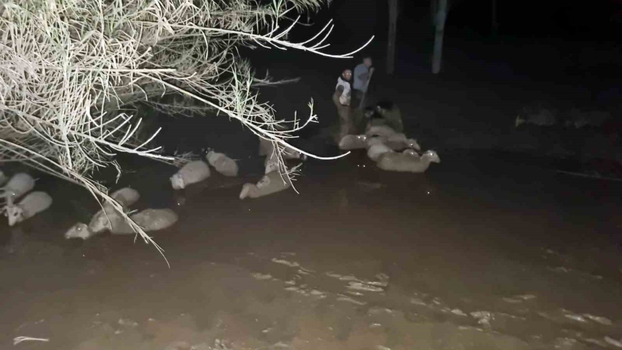 İtfaiyeden koyun kurtarma operasyonu