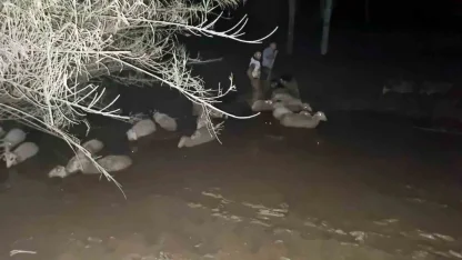 İtfaiyeden koyun kurtarma operasyonu