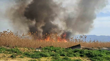 İznik’te rüzgarla birlikte sazlık yangını büyüyor