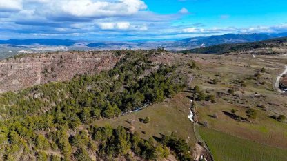 Karlar eridi, yaylalar yeşile bürünmeye başladı