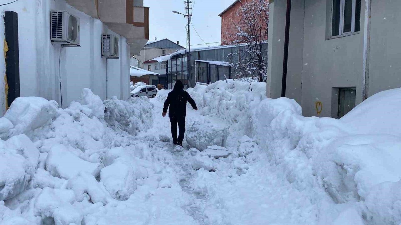 Karlıova’da 40 gündür süren kar yağışı hayatı zorlaştırıyor