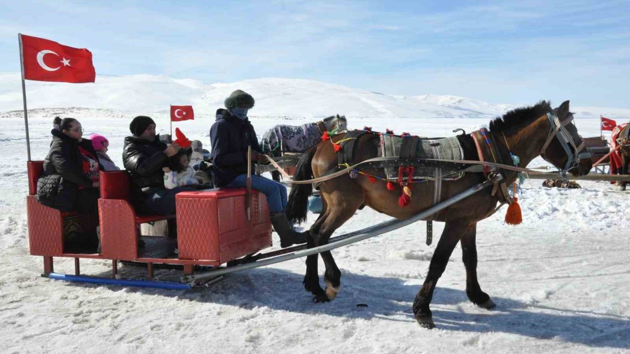 Kars Çıldır Gölü’nde dörtnala atlı kızak safarileri nefes kesiyor