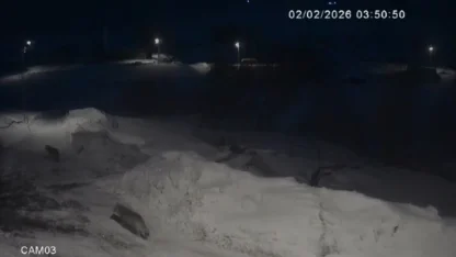 Kars’ta kurtlar köylerde cirit atıyor