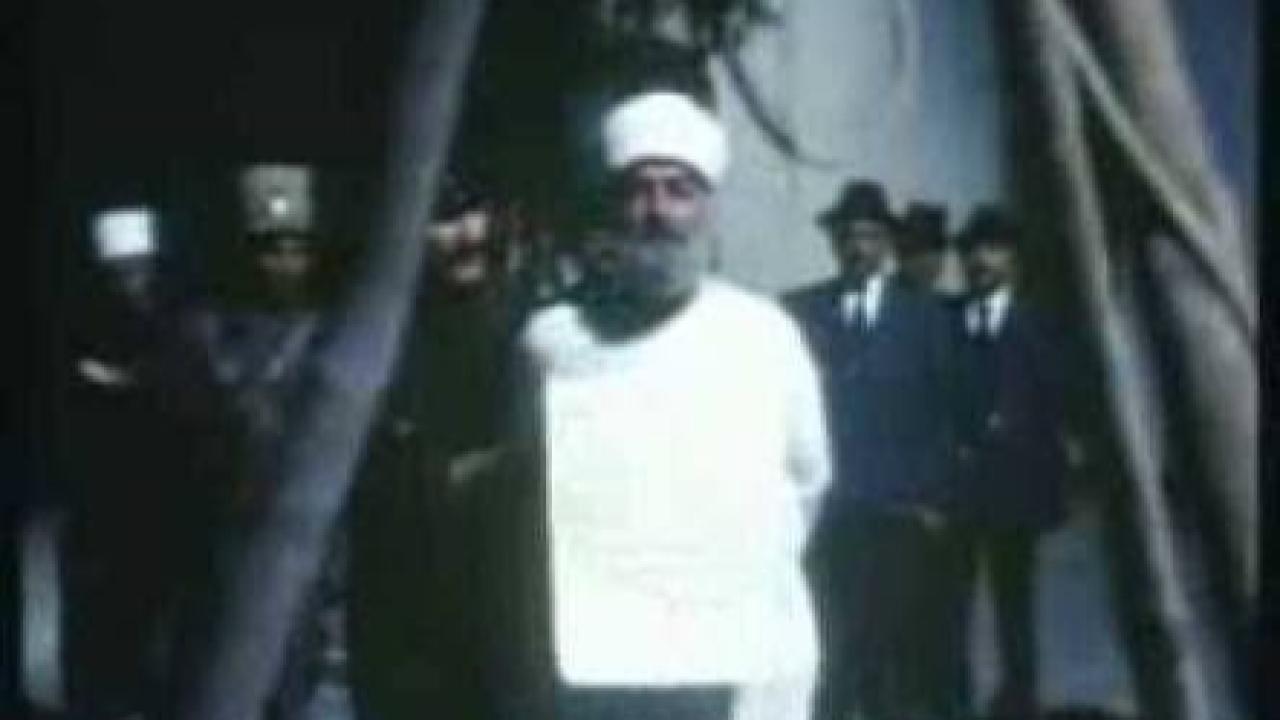 Kelebekler Sonsuza Uçar