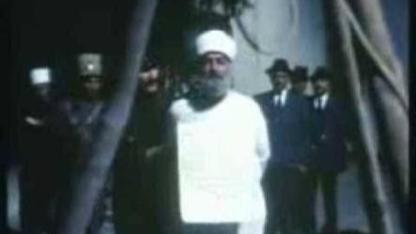 Kelebekler Sonsuza Uçar