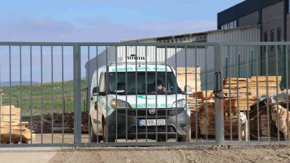 Kereste makinesinden fırlayan parça işçinin ölümüne neden oldu