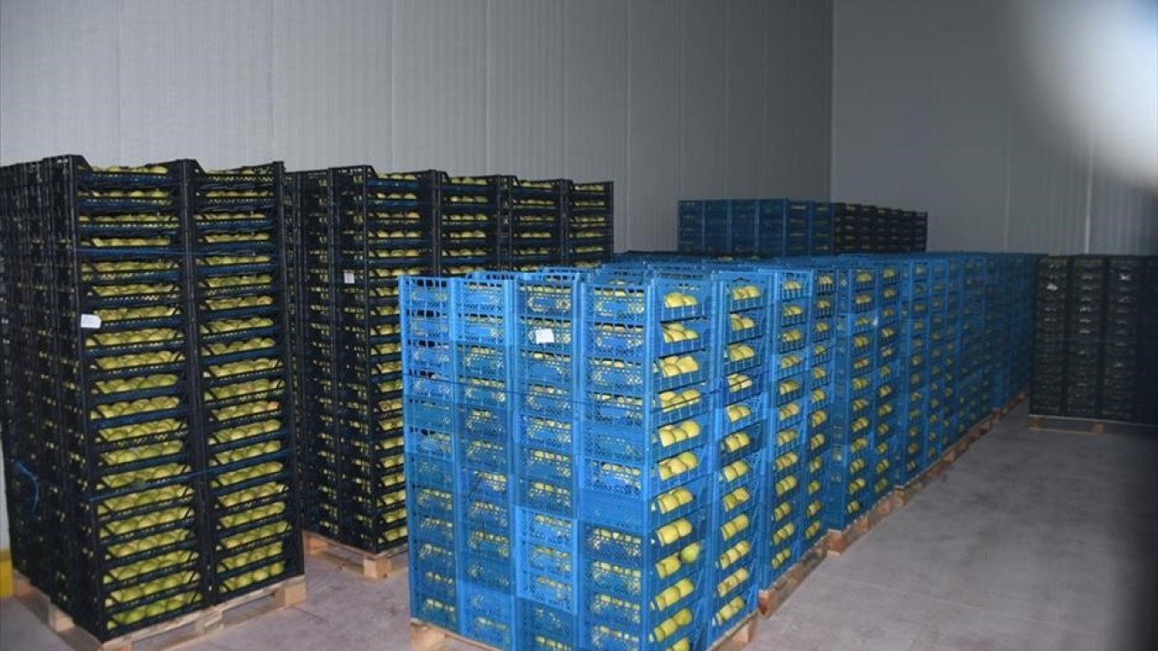 Kestel’e 400 milyon liralık dev meyve tesisi kuruluyor