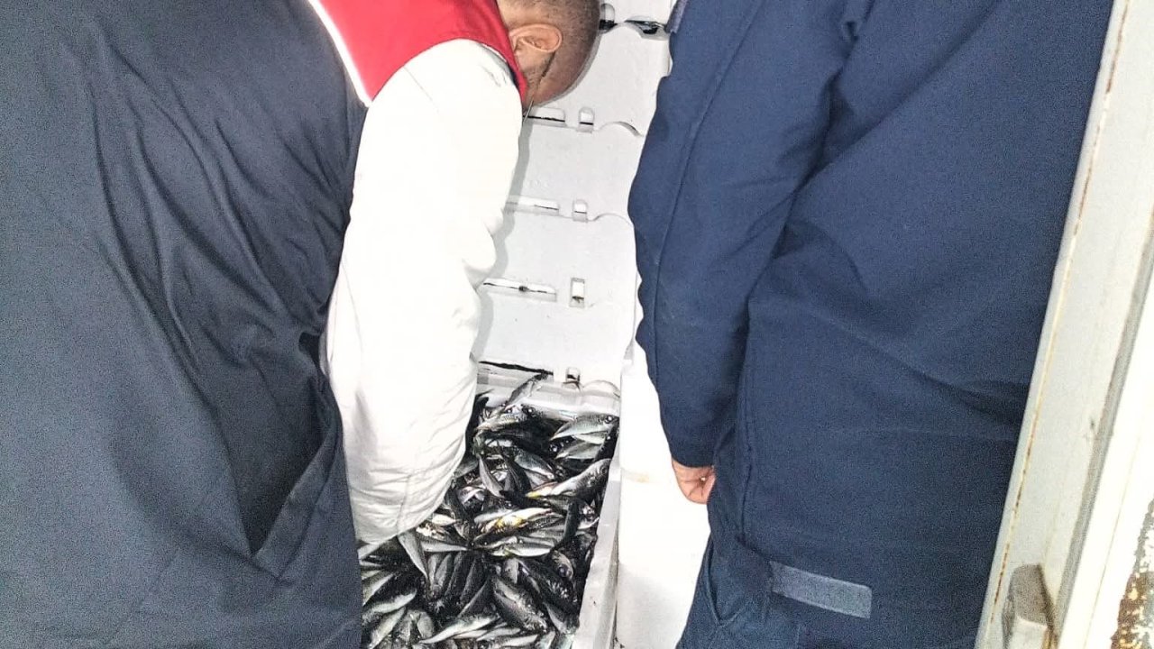 Kırklareli’nde su ürünleri denetiminde 110 koli istavrite cezai işlem