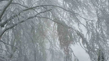 Kırklareli’nin yüksek kesimleri beyaza büründü