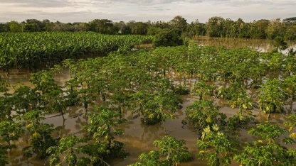 Kolombiya’da ülke genelindeki sellerde 6 kişi hayatını kaybetti