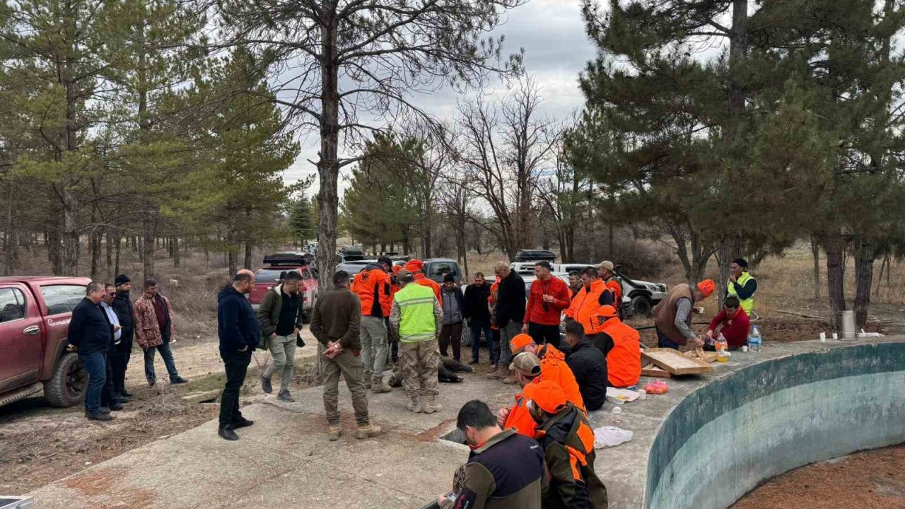 Konya’da yaban domuzlarına sürek avı düzenlendi