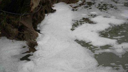 Köpüren dereden ağır kokular yükseliyor