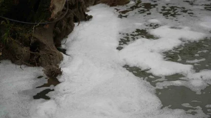Köpüren dereden ağır kokular yükseliyor