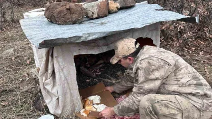Köy yoluna bırakılan yavru köpeklere jandarmandan şefkat eli