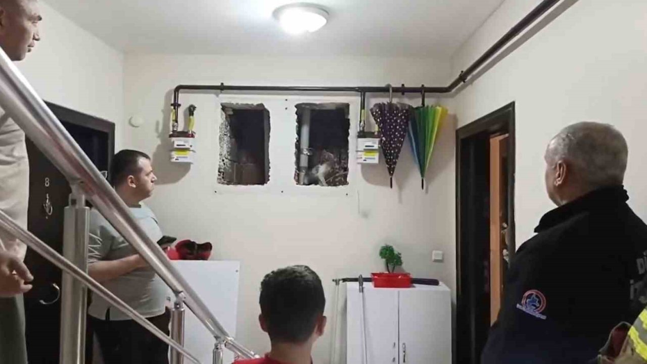 Küçük Yaser Kaan’ın dikkati kediyi kurtardı