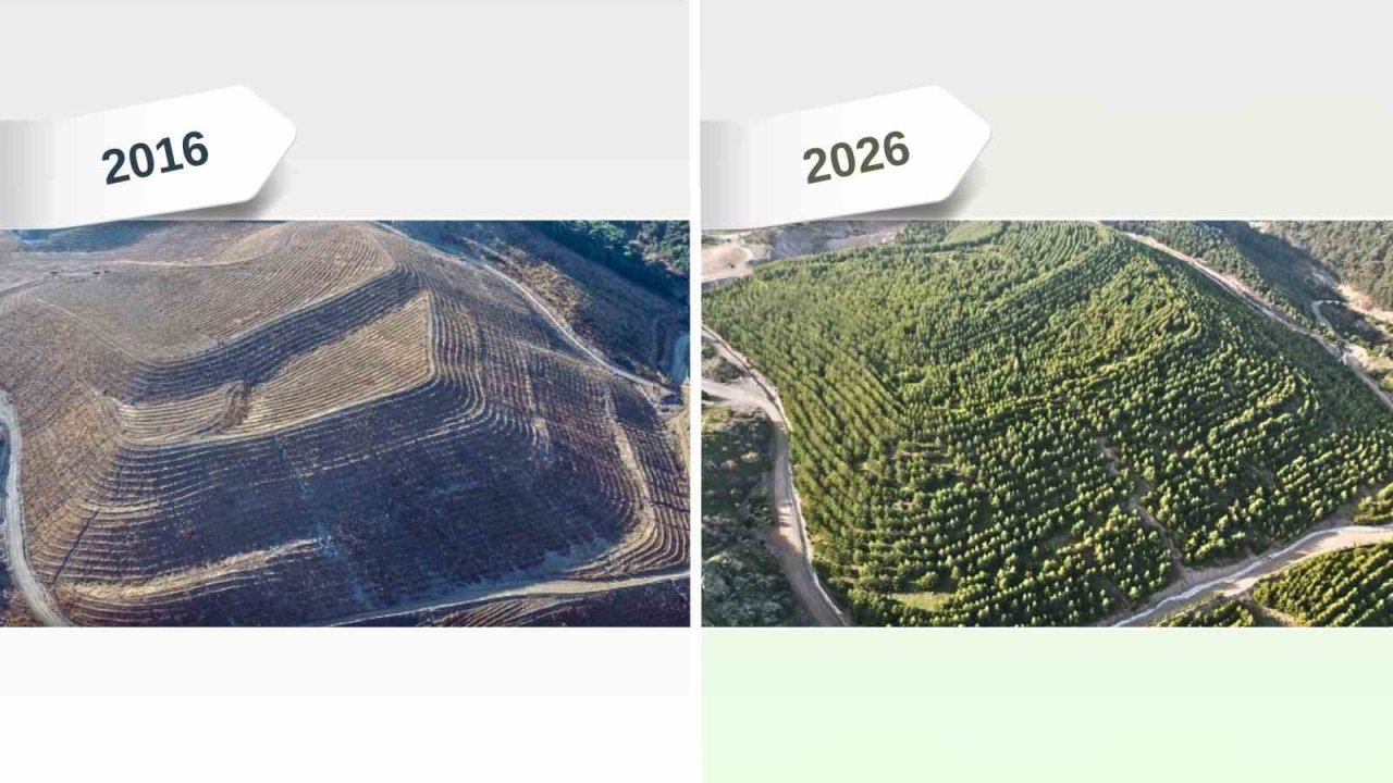 Maden sahaları rehabilitasyonla yeniden yeşeriyor