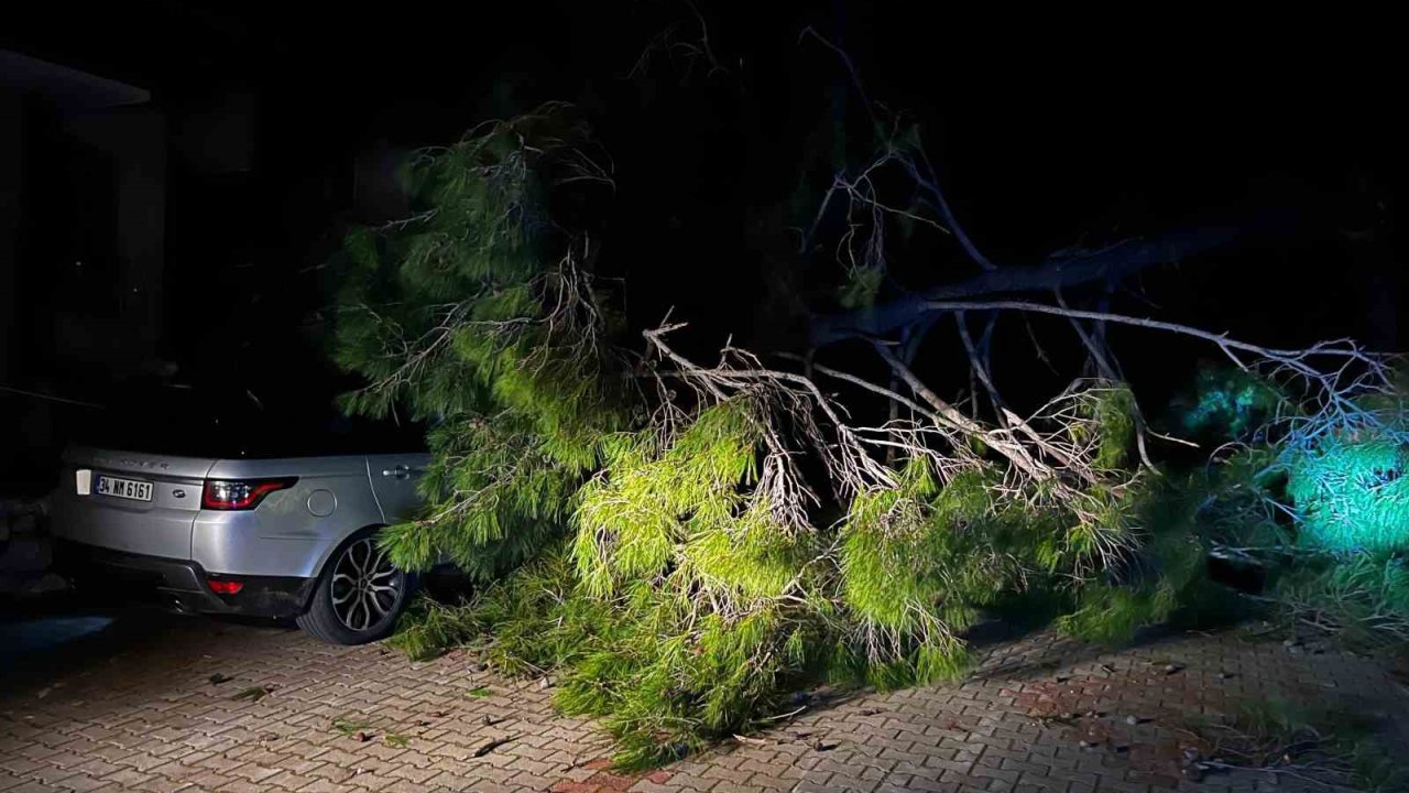 Marmaris’te fırtına ağaç devirdi: 1 kişi yaralandı
